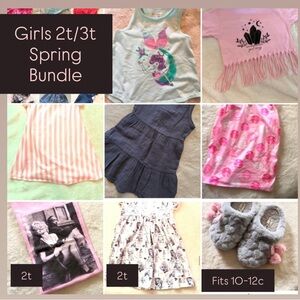 Girls 2T/3T Spring Clothing Bundle